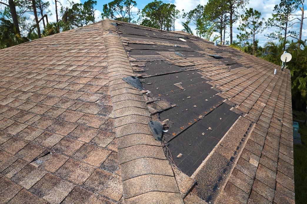The Impact of Wind on Your Roof: What You Need To Know
